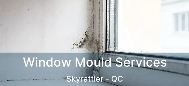  Window Mould Services Skyrattler - QC