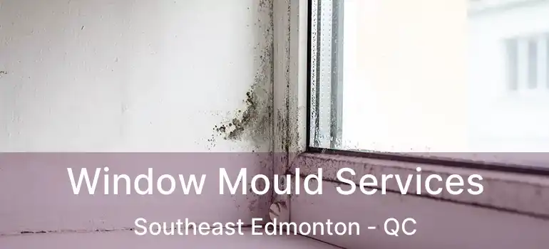  Window Mould Services Southeast Edmonton - QC