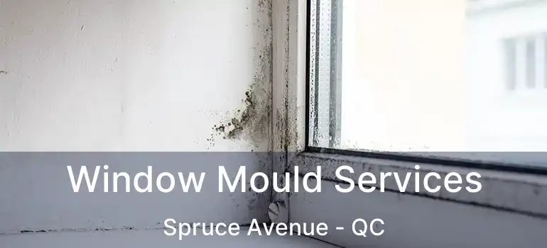  Window Mould Services Spruce Avenue - QC