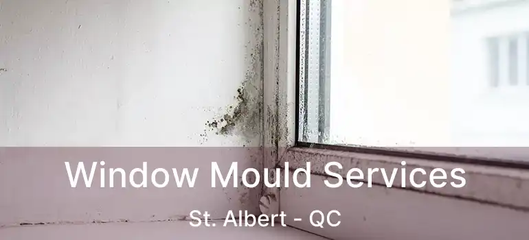  Window Mould Services St. Albert - QC