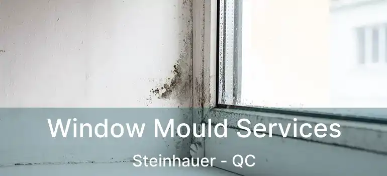  Window Mould Services Steinhauer - QC