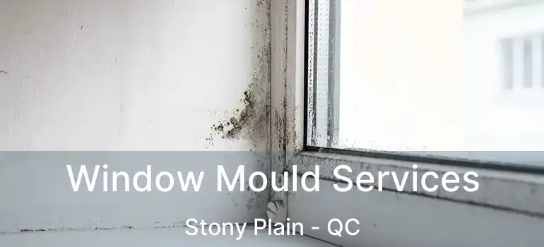  Window Mould Services Stony Plain - QC