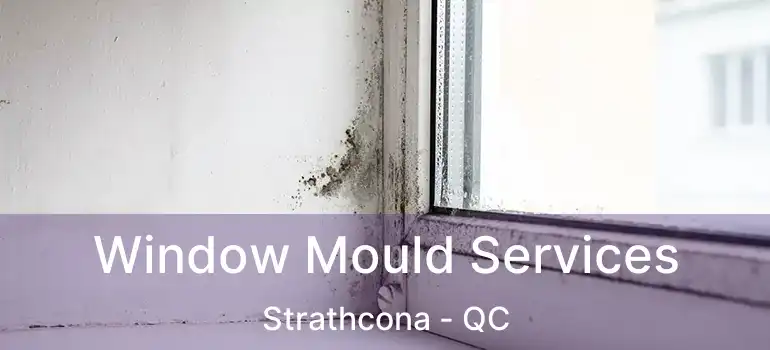  Window Mould Services Strathcona - QC