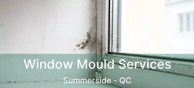  Window Mould Services Summerside - QC