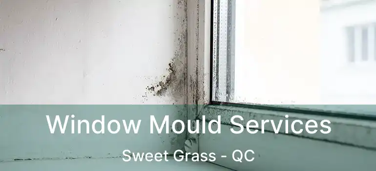  Window Mould Services Sweet Grass - QC