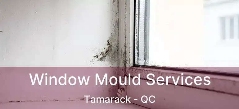 Window Mould Services Tamarack - QC