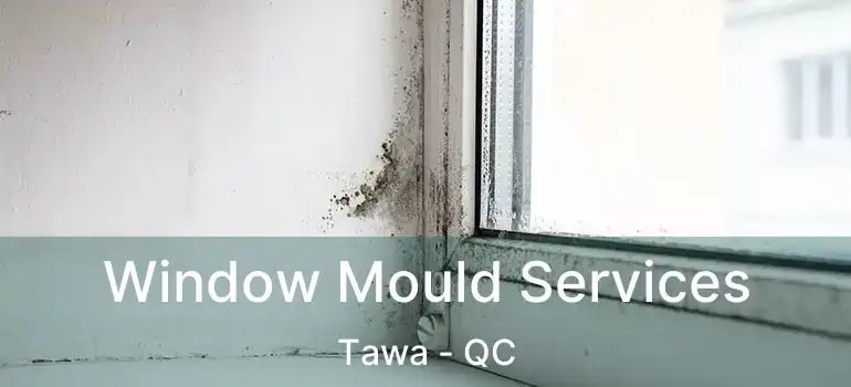  Window Mould Services Tawa - QC