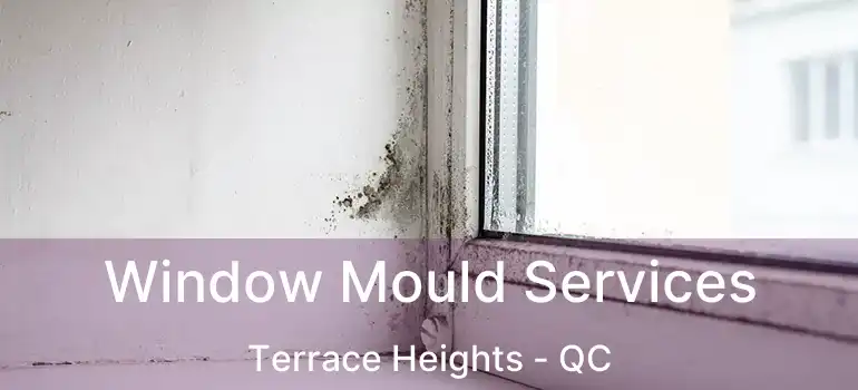  Window Mould Services Terrace Heights - QC
