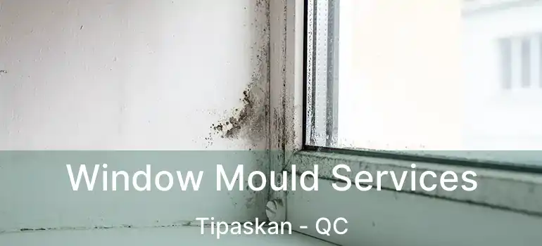  Window Mould Services Tipaskan - QC