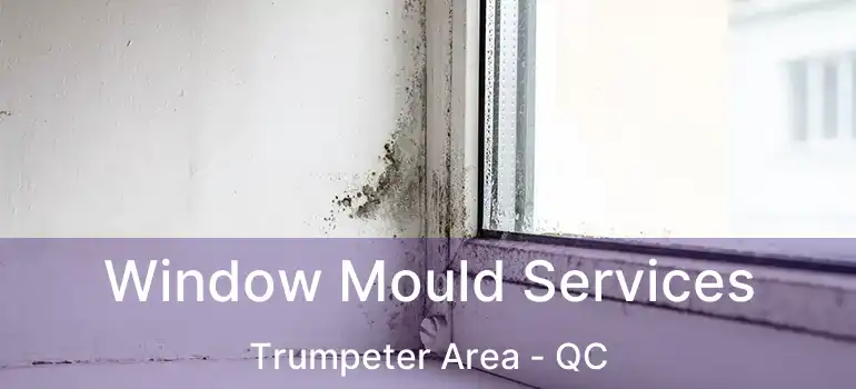  Window Mould Services Trumpeter Area - QC