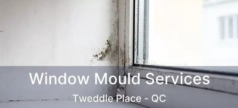  Window Mould Services Tweddle Place - QC