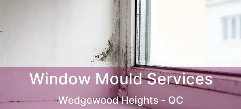  Window Mould Services Wedgewood Heights - QC