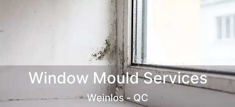  Window Mould Services Weinlos - QC