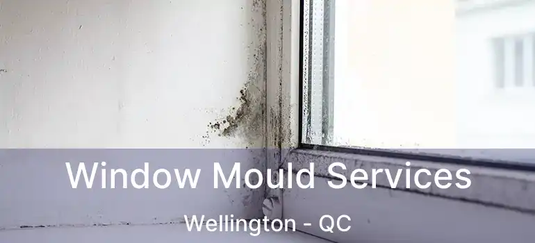  Window Mould Services Wellington - QC