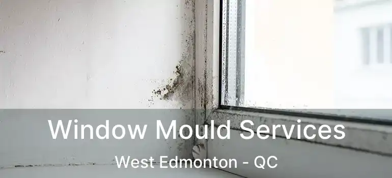  Window Mould Services West Edmonton - QC