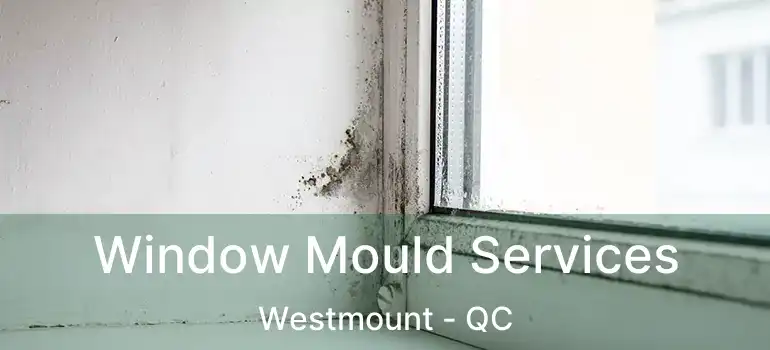  Window Mould Services Westmount - QC