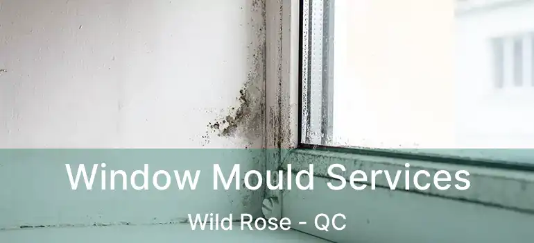  Window Mould Services Wild Rose - QC