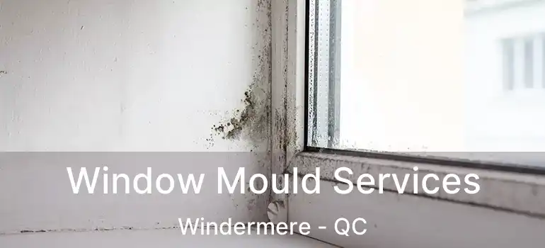  Window Mould Services Windermere - QC