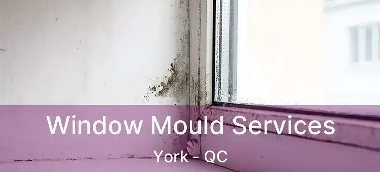  Window Mould Services York - QC