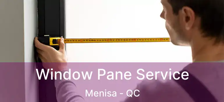  Window Pane Service Menisa - QC