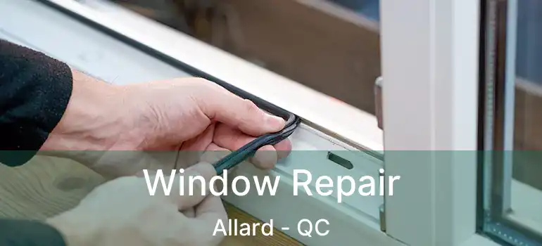  Window Repair Allard - QC