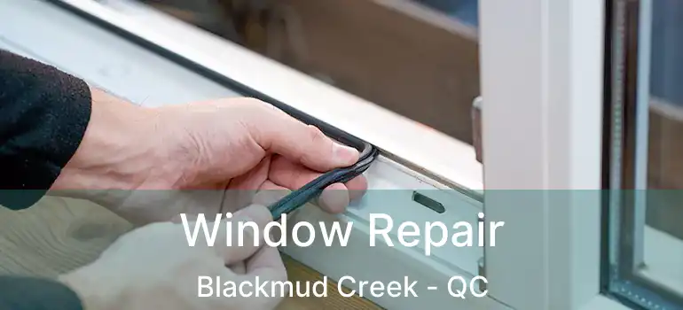  Window Repair Blackmud Creek - QC