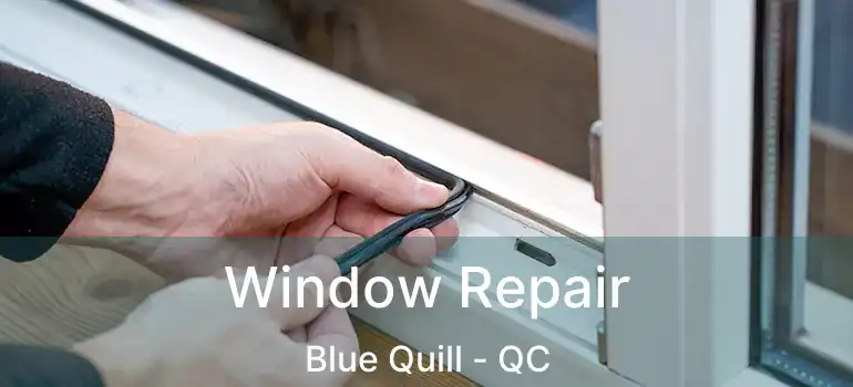  Window Repair Blue Quill - QC