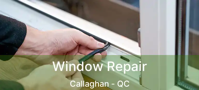  Window Repair Callaghan - QC