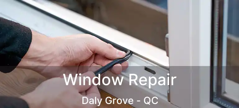  Window Repair Daly Grove - QC