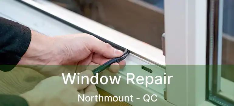  Window Repair Northmount - QC