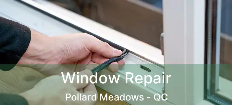  Window Repair Pollard Meadows - QC