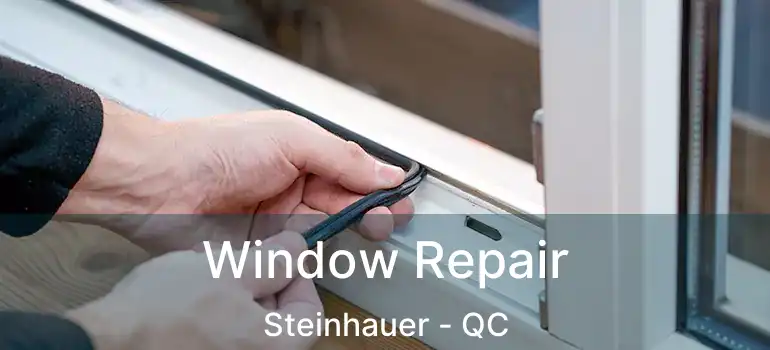  Window Repair Steinhauer - QC