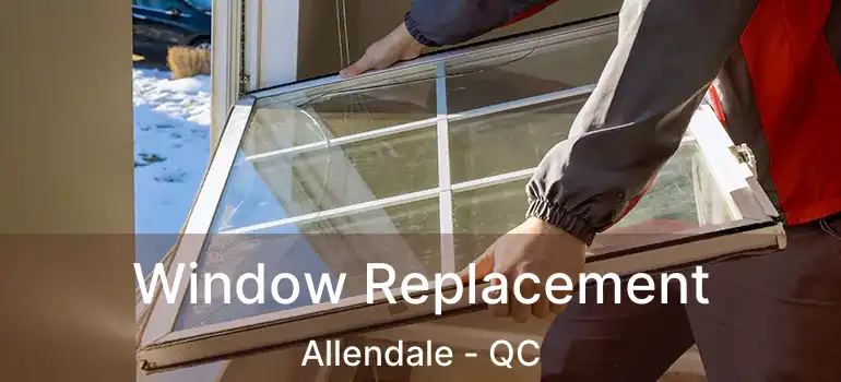  Window Replacement Allendale - QC