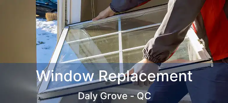  Window Replacement Daly Grove - QC