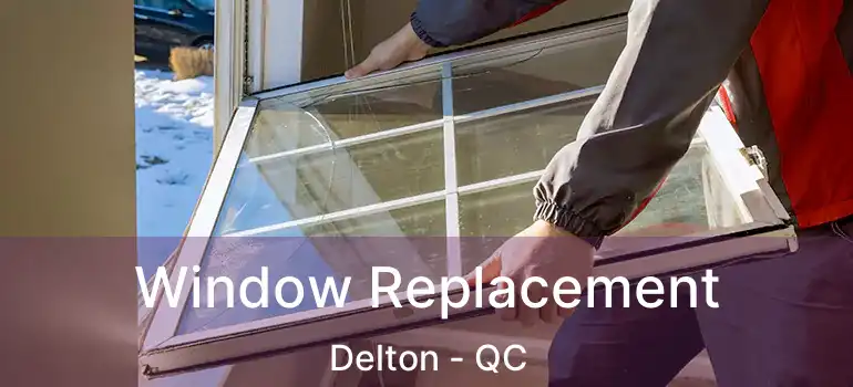  Window Replacement Delton - QC