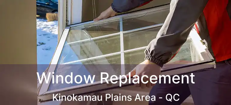  Window Replacement Kinokamau Plains Area - QC