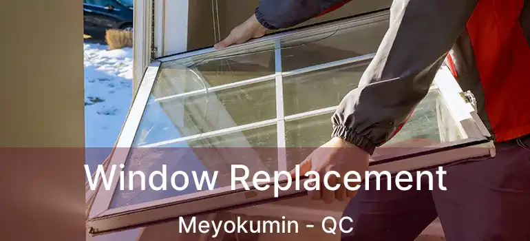  Window Replacement Meyokumin - QC