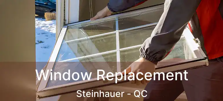  Window Replacement Steinhauer - QC