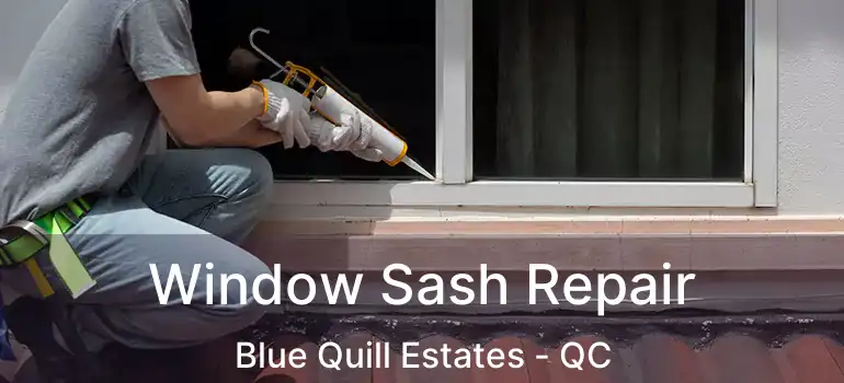  Window Sash Repair Blue Quill Estates - QC