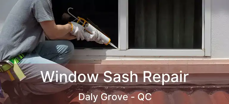  Window Sash Repair Daly Grove - QC