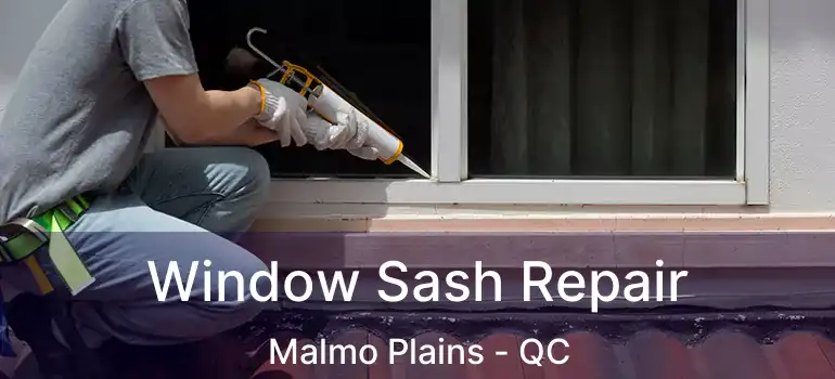  Window Sash Repair Malmo Plains - QC