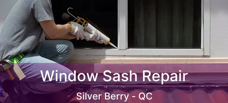  Window Sash Repair Silver Berry - QC