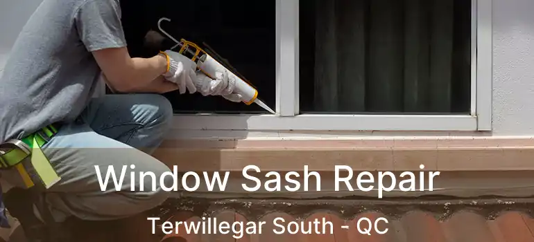  Window Sash Repair Terwillegar South - QC