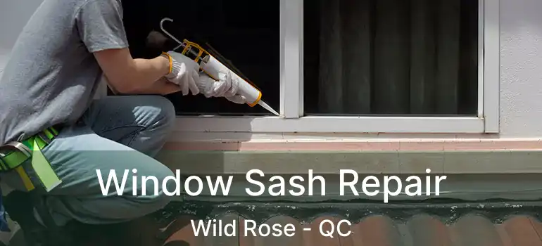  Window Sash Repair Wild Rose - QC