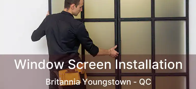  Window Screen Installation Britannia Youngstown - QC