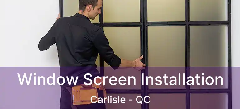  Window Screen Installation Carlisle - QC