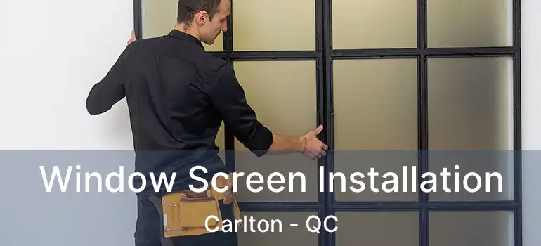  Window Screen Installation Carlton - QC