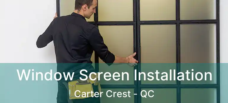  Window Screen Installation Carter Crest - QC