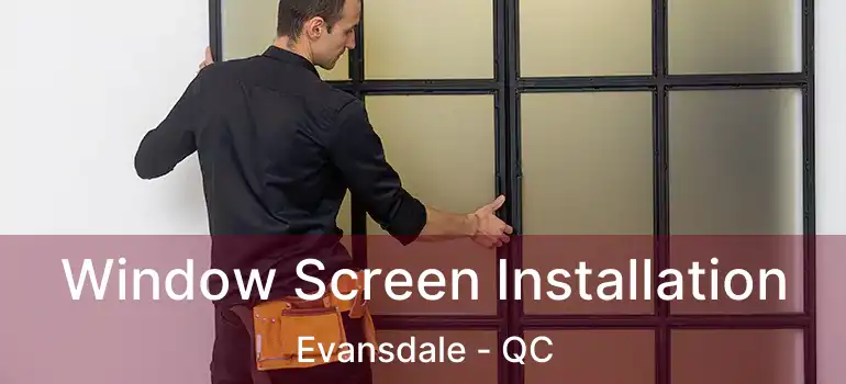  Window Screen Installation Evansdale - QC