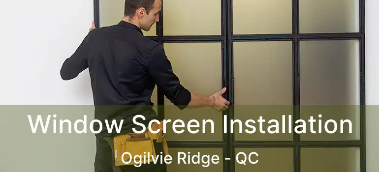  Window Screen Installation Ogilvie Ridge - QC